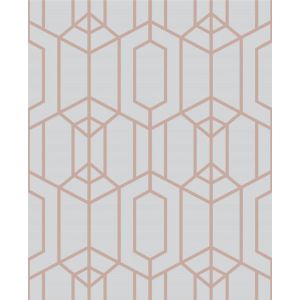 Star 106582  Papel  de Parede hexagonal cinza claro  com baixo relevo em  rose gold albany grey