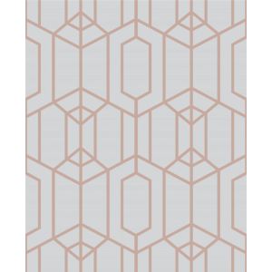 Star 106582  Papel  de Parede hexagonal cinza claro  com baixo relevo em  rose gold albany grey