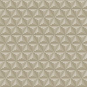 Papel de parede - Diplomata-  Figura em 3d marrom  , cod : 3130