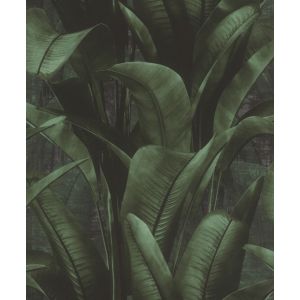 Allegretto 416237 Papel de parede folhagem verde fundo preto