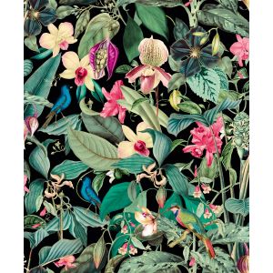 Leyla 81685  Papel de parede folhas e flores colorido