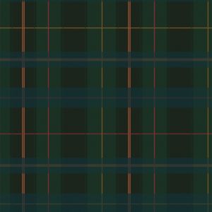 Tartan 88948 Papel de parede  xadrez verde escuro com listras