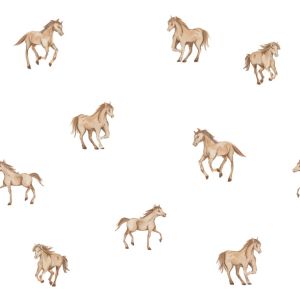 Era uma vez 89648- cavalinhos