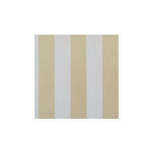 English Florals  G34355 Papel de  Parede   listras laranja