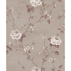 Palazzo G67605 papel de  parede rosas branca e fundo rosê