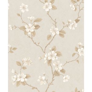 flores brancas 