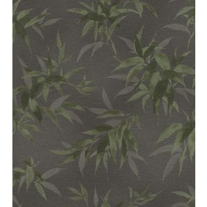 Linares  409772 Papel de parede follhagem  verde com fundo escuro 