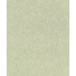 Linares  617368 Papel de parede  cimento queimado verde folha 