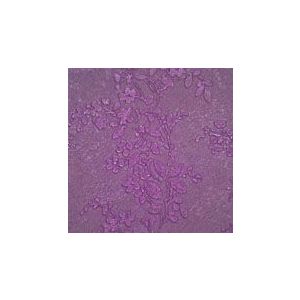 Papel de parede , vinilico , cód : 40326