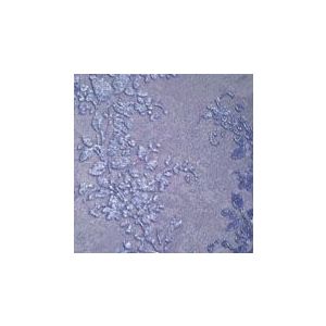 Papel de parede , vinilico , cód : 40329
