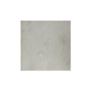 Papel de parede -Enchantment-Fundo-cinza-penas-prateadas, cód :121401