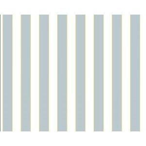 Papel de parede , vinilico cód : G23161