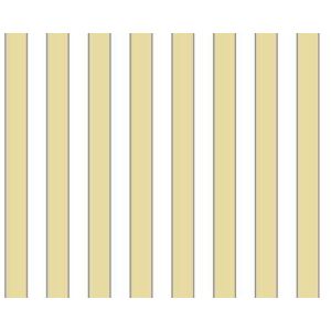 Papel de parede , vinilico cód :  G23163