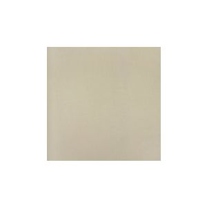 Papel de parede , vinilico cód : G56149