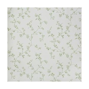 Papel de parede -Fragrant Roses-Fundo-branco-ramos-verdes, cód : FA811033