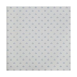 Papel de parede -Fragrant Roses - Fundo branco-flores-pequenas-azuis , cód : FA811050