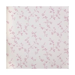 Fragrant Roses Papel de Parede FA811070  Fundo branco ramos rosas