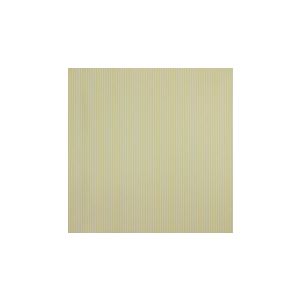 Papel de parede -Classic Stripes - Listras finas branca a amarela , cód : CT889028