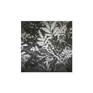 Papel de parede -Brigt wall - Fundo preto com folhas pretas e prata , cód : Y6130703