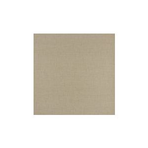Papel de parede -Texture world- Bege escuro imita linhp com riscos , cód : H2990604