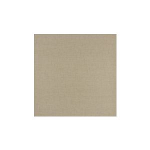 Papel de parede -Texture world- Bege escuro imita linhp com riscos , cód : H2990604