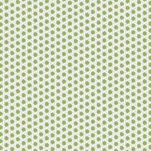 Papel de parede - Waverly Small Prints- Formas geométricas em verde folha e branco  , cód : WP2473