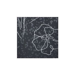 Papel de Parede -Brera-Fundo preto com flores brancas , Cód : 91309