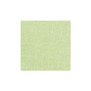 Papel de parede , vinilico , Cód : 30210