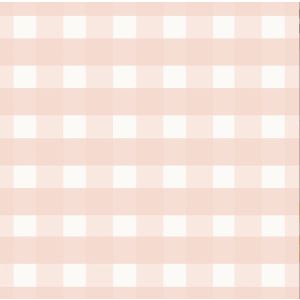 Xadrez vichy rosa e branco 