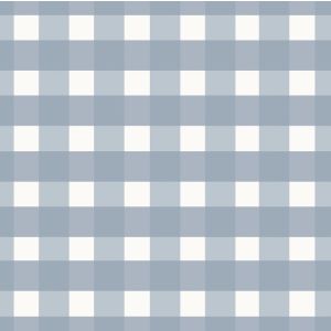 Xadrez vichy azul marinho e branco 