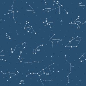 Pippo 3361-1 papel-de-parede constelação