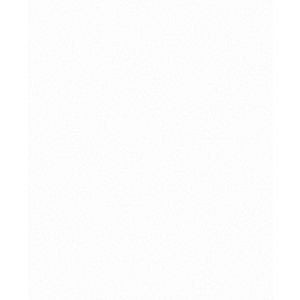 Vivant  1015 Papel de parede linhao branco