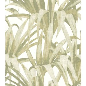 Botany House 15525 Papel de parede folhagem com fundo branco
