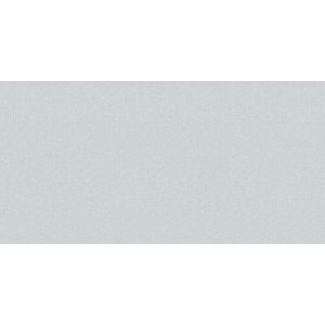 Brut  2020303 Papel de parede  textura cinza claro