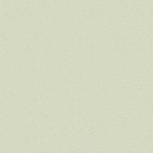 Listras verde e branco 