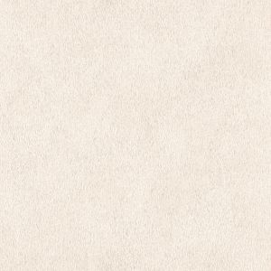 African Queen III  423204 Papel de parede textura bege claro liso