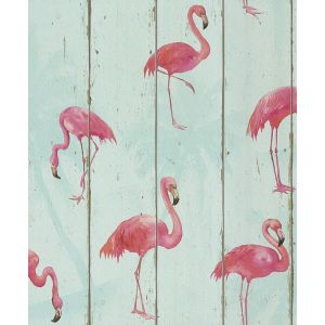 Barbara Becker 2017  479706  Papel de  Parede  fundo azul com flamingos 