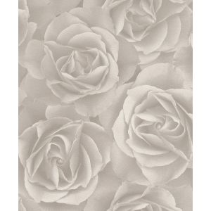 Barbara Becker 2017  526601  Papel de  Parede  rosas bege 