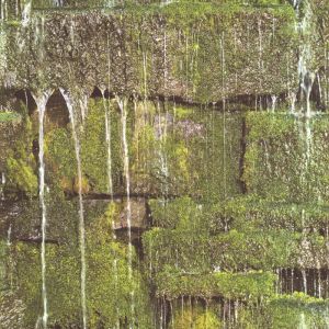Barbara 2018 861303  papel  de parede pedras com folhagem verde 