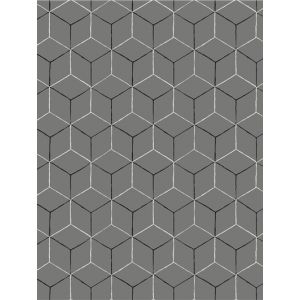 Smith   9C010204 Papel de  Parede  cubos em 3d  bege e preto 