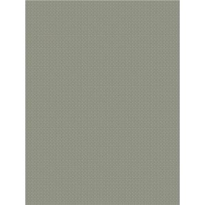 Smith   9C020108  Papel de  Parede  chevron  com glitter  fendi