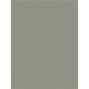 Smith   9C020108  Papel de  Parede  chevron  com glitter  fendi