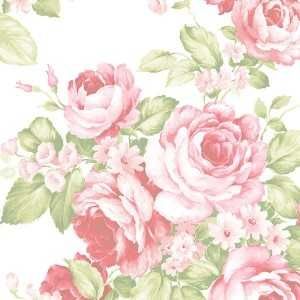 Papel de parede  Abby Rose 3  flores grandes rosa e vermelho com fundo branco      cod  : AB27612