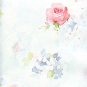 Papel de parede  Abby Rose 3  aquarela com flores vermelhas e azuis com fundo azul l      cod  : AB27662