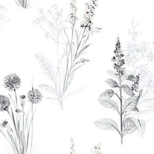 Papel de parede  Abby Rose 3  ramos de flores em preto com fundo branco cod  : AB42443