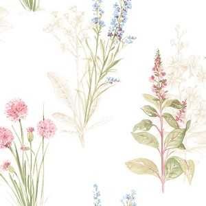 Papel de parede  Abby Rose 3  ramos de flores rosa e azul com fundo bege      cod  : AB42445