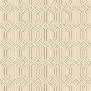 Beaux Arts 2   ba220014 Papel de  Parede  Forma geometrica palha 