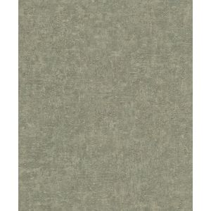 Belize  BZ1006 Papel de parede cimentício verde