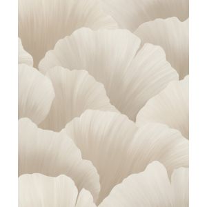 Belize  BZ3005 Papel de parede folhagem bege