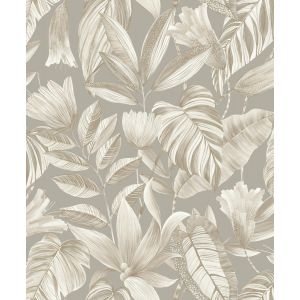 Belize  BZ3103 Papel de parede folhagem cinza